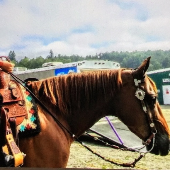 Other - Vintage western Rommel romal reins western riding reining horsemanship AQHA ARAB